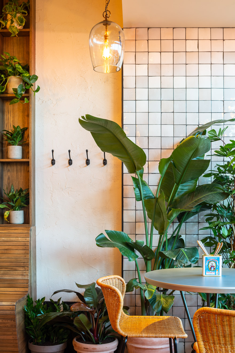 Various sized green plants against a tiled wall