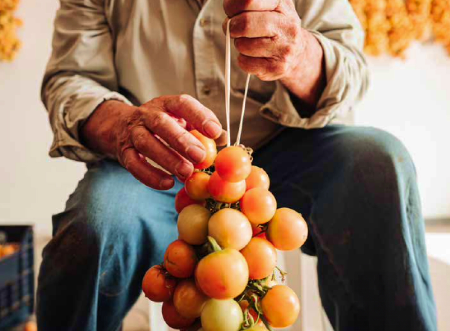 A man holding a large bunch of tomatoes on a string
