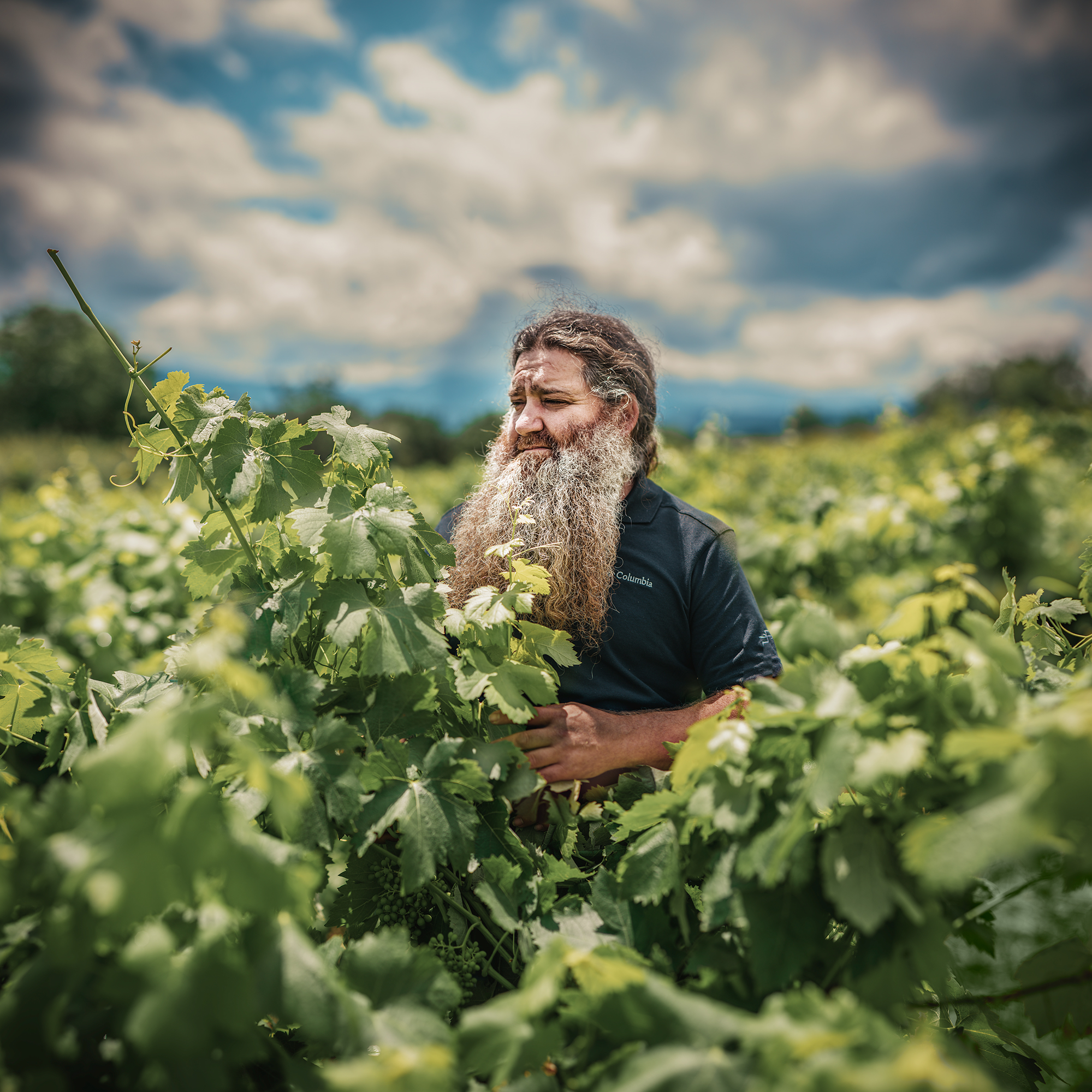 Rául Perez pictured in the vineyards